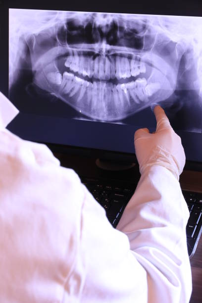 Best Emergency X-Rays and Diagnostics in Cedar Springs, MI